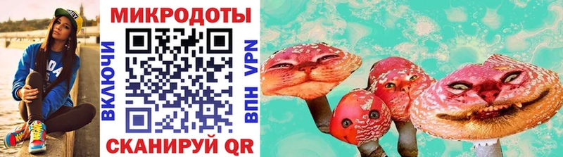 Псилоцибиновые грибы Psilocybe  Татарск 